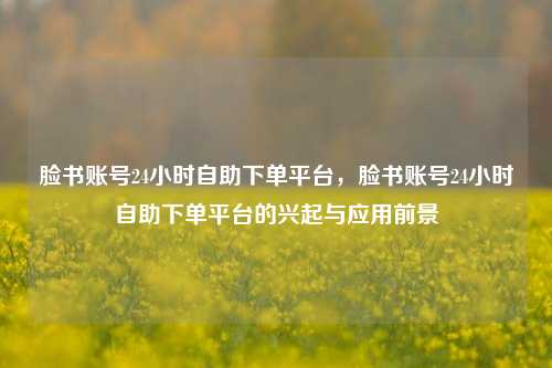 脸书账号24小时自助下单平台，脸书账号24小时自助下单平台的兴起与应用前景