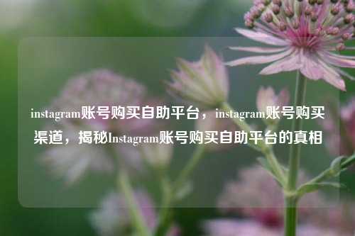 instagram账号购买自助平台	，instagram账号购买渠道，揭秘Instagram账号购买自助平台的真相  第1张