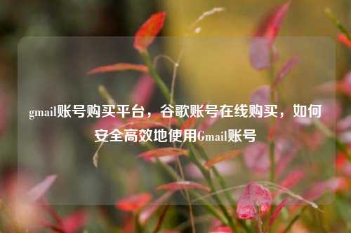 gmail账号购买平台，谷歌账号在线购买，如何安全高效地使用Gmail账号  第1张