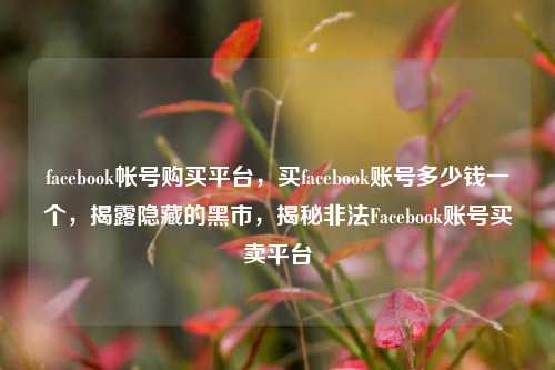 facebook帐号购买平台，买facebook账号多少钱一个，揭露隐藏的黑市，揭秘非法Facebook账号买卖平台