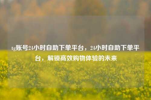 tg账号24小时自助下单平台，24小时自助下单平台，解锁高效购物体验的未来