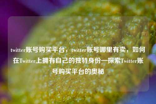 twitter账号购买平台，twitter账号哪里有卖，如何在Twitter上拥有自己的独特身份—探索Twitter账号购买平台的奥秘