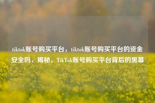tiktok账号购买平台，tiktok账号购买平台的资金安全吗，揭秘	，TikTok账号购买平台背后的黑幕  第1张