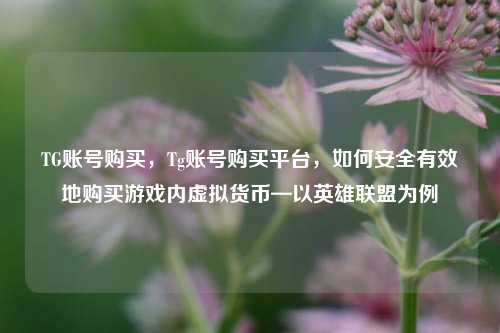 TG账号购买，Tg账号购买平台，如何安全有效地购买游戏内虚拟货币—以英雄联盟为例