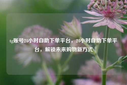tg账号24小时自助下单平台，24小时自助下单平台，解锁未来购物新方式