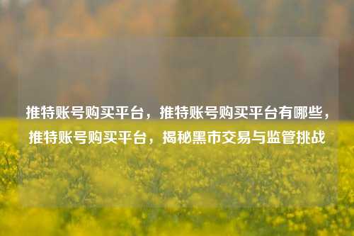 推特账号购买平台，推特账号购买平台有哪些，推特账号购买平台，揭秘黑市交易与监管挑战