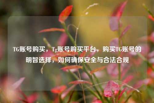 TG账号购买，Tg账号购买平台，购买TG账号的明智选择，如何确保安全与合法合规