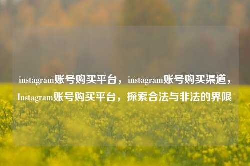 instagram账号购买平台，instagram账号购买渠道，Instagram账号购买平台，探索合法与非法的界限