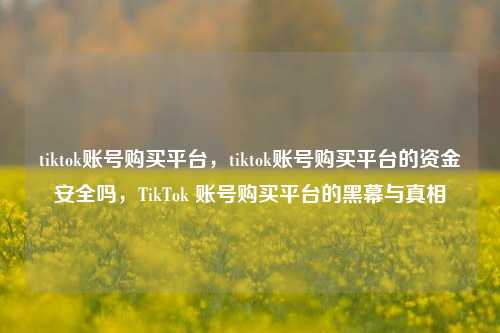 tiktok账号购买平台，tiktok账号购买平台的资金安全吗，TikTok 账号购买平台的黑幕与真相  第1张