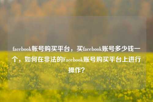facebook帐号购买平台	，买facebook账号多少钱一个，如何在非法的Facebook账号购买平台上进行操作？  第1张