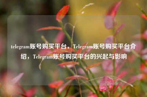 telegram账号购买平台，Telegram账号购买平台介绍，Telegram账号购买平台的兴起与影响