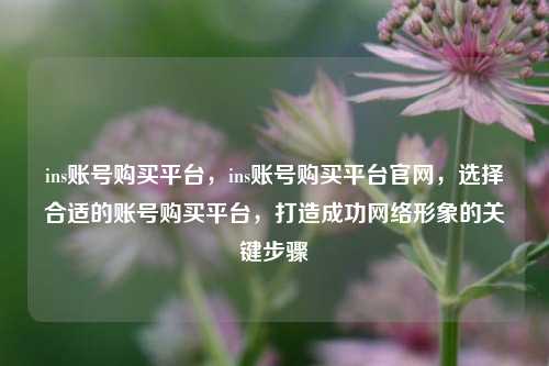 ins账号购买平台，ins账号购买平台官网，选择合适的账号购买平台，打造成功网络形象的关键步骤