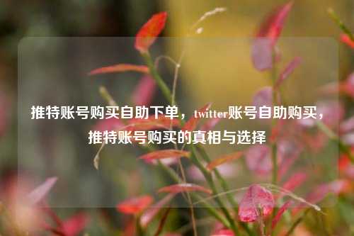 推特账号购买自助下单，twitter账号自助购买	，推特账号购买的真相与选择  第1张