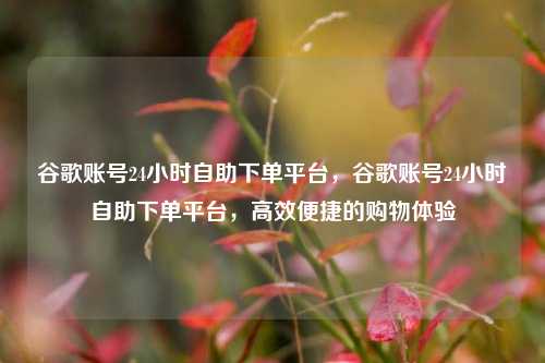 谷歌账号24小时自助下单平台	，谷歌账号24小时自助下单平台，高效便捷的购物体验  第1张