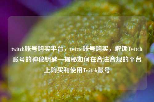 twitch账号购买平台，twitte账号购买，解锁Twitch账号的神秘钥匙—揭秘如何在合法合规的平台上购买和使用Twitch账号