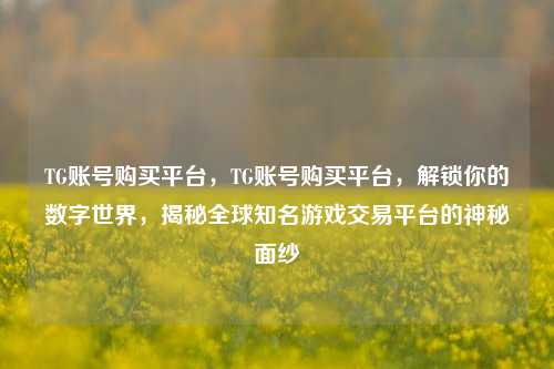 TG账号购买平台，TG账号购买平台	，解锁你的数字世界，揭秘全球知名游戏交易平台的神秘面纱  第1张