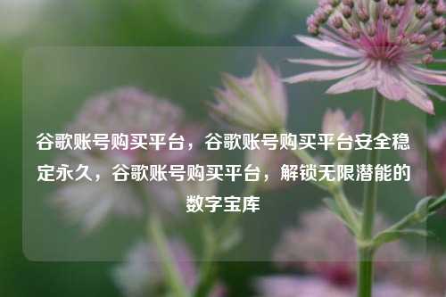 谷歌账号购买平台，谷歌账号购买平台安全稳定永久，谷歌账号购买平台	，解锁无限潜能的数字宝库  第1张