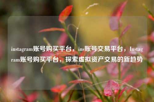 instagram账号购买平台，ins账号交易平台，Instagram账号购买平台，探索虚拟资产交易的新趋势