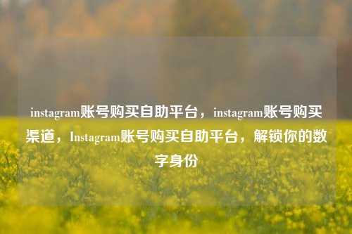 instagram账号购买自助平台，instagram账号购买渠道，Instagram账号购买自助平台，解锁你的数字身份