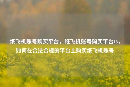 纸飞机账号购买平台，纸飞机账号购买平台15，如何在合法合规的平台上购买纸飞机账号