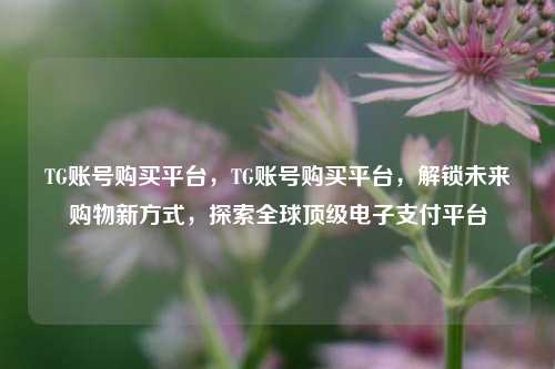 TG账号购买平台，TG账号购买平台，解锁未来购物新方式，探索全球顶级电子支付平台