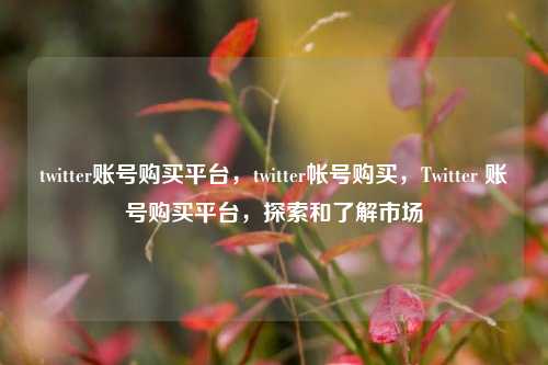 twitter账号购买平台，twitter帐号购买，Twitter 账号购买平台，探索和了解市场