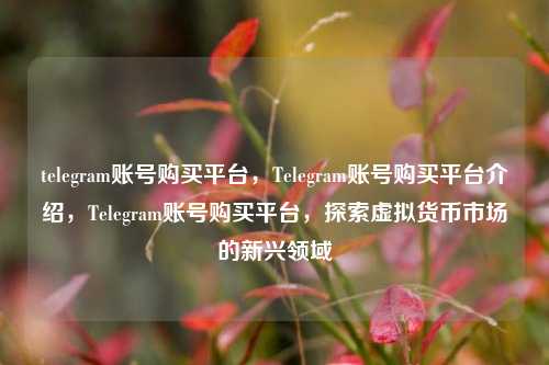 telegram账号购买平台，Telegram账号购买平台介绍，Telegram账号购买平台，探索虚拟货币市场的新兴领域