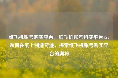 纸飞机账号购买平台，纸飞机账号购买平台15，如何在纸上制造奇迹	，探索纸飞机账号购买平台的奥秘  第1张