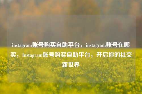 instagram账号购买自助平台，instagram账号在哪买，Instagram账号购买自助平台，开启你的社交新世界