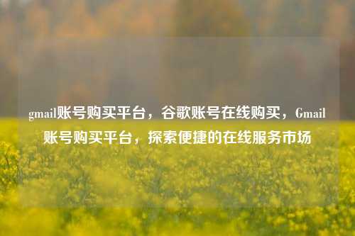 gmail账号购买平台，谷歌账号在线购买，Gmail账号购买平台，探索便捷的在线服务市场