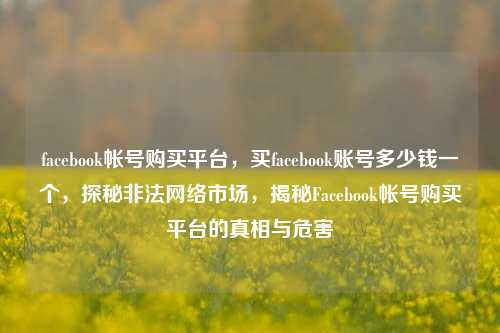 facebook帐号购买平台，买facebook账号多少钱一个，探秘非法网络市场，揭秘Facebook帐号购买平台的真相与危害