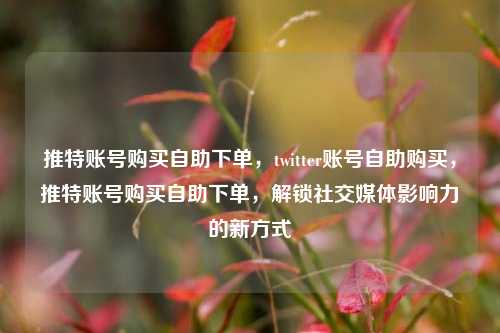 推特账号购买自助下单，twitter账号自助购买，推特账号购买自助下单，解锁社交媒体影响力的新方式