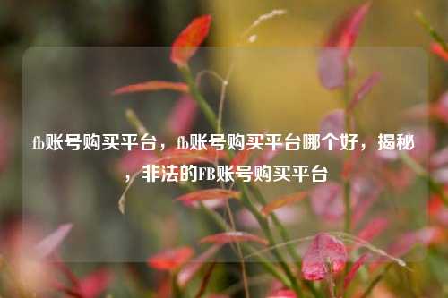 fb账号购买平台，fb账号购买平台哪个好，揭秘，非法的FB账号购买平台