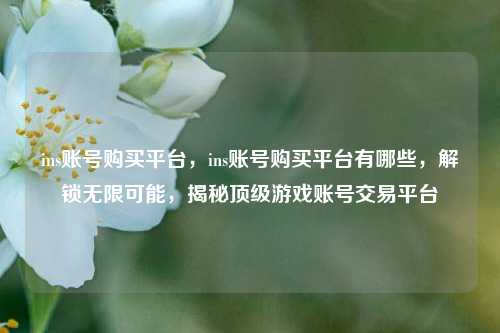 ins账号购买平台，ins账号购买平台有哪些，解锁无限可能，揭秘顶级游戏账号交易平台