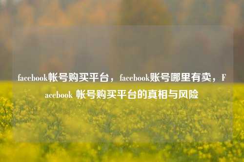 facebook帐号购买平台，facebook账号哪里有卖，Facebook 帐号购买平台的真相与风险