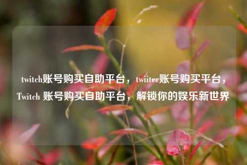 twitch账号购买自助平台，twiiter账号购买平台，Twitch 账号购买自助平台，解锁你的娱乐新世界