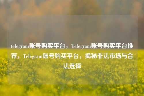 telegram账号购买平台	，Telegram账号购买平台推荐，Telegram账号购买平台，揭秘非法市场与合法选择  第1张