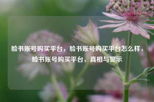脸书账号购买平台，脸书账号购买平台怎么样，脸书账号购买平台，真相与警示