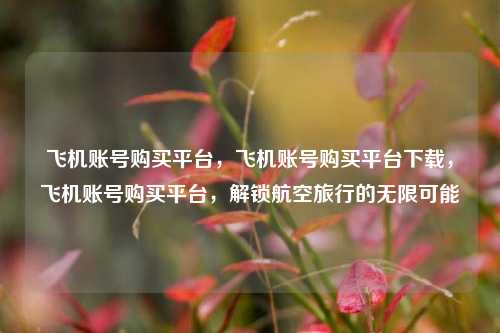 飞机账号购买平台，飞机账号购买平台下载，飞机账号购买平台	，解锁航空旅行的无限可能  第1张