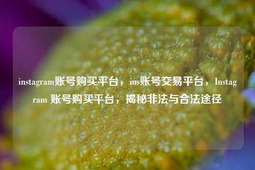instagram账号购买平台，ins账号交易平台，Instagram 账号购买平台，揭秘非法与合法途径