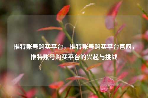 推特账号购买平台，推特账号购买平台官网，推特账号购买平台的兴起与挑战  第1张