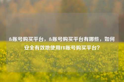 fb账号购买平台，fb账号购买平台有哪些，如何安全有效地使用FB账号购买平台？  第1张