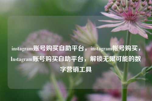 instagram账号购买自助平台，instagram帐号购买，Instagram账号购买自助平台，解锁无限可能的数字营销工具