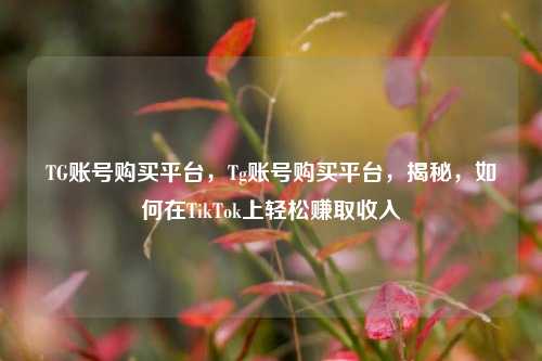 TG账号购买平台，Tg账号购买平台，揭秘，如何在TikTok上轻松赚取收入