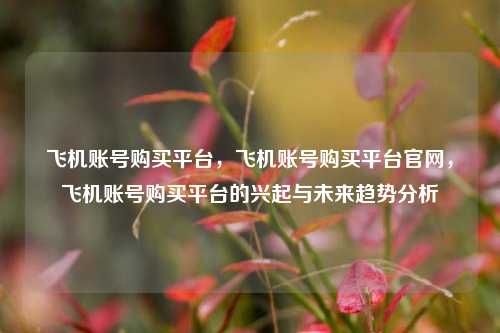 飞机账号购买平台，飞机账号购买平台官网	，飞机账号购买平台的兴起与未来趋势分析  第1张