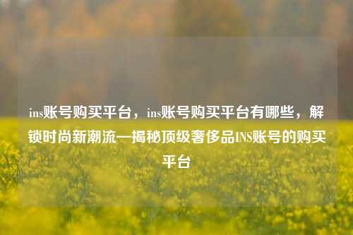 ins账号购买平台，ins账号购买平台有哪些	，解锁时尚新潮流—揭秘顶级奢侈品INS账号的购买平台  第1张