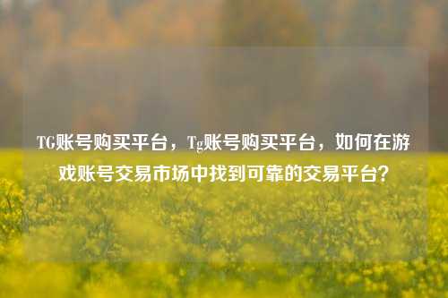 TG账号购买平台	，Tg账号购买平台，如何在游戏账号交易市场中找到可靠的交易平台？  第1张