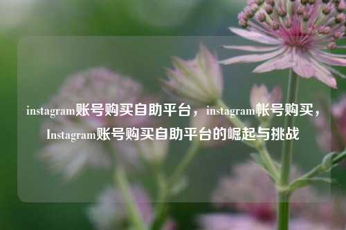 instagram账号购买自助平台，instagram帐号购买，Instagram账号购买自助平台的崛起与挑战