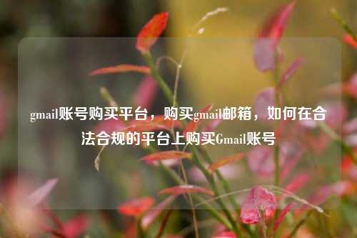 gmail账号购买平台，购买gmail邮箱，如何在合法合规的平台上购买Gmail账号