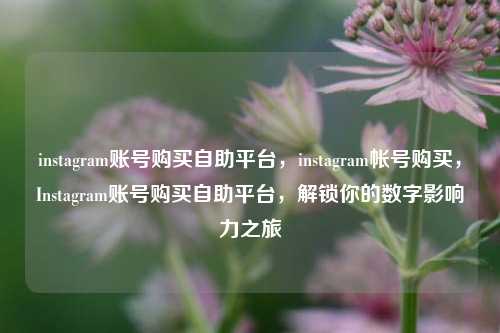 instagram账号购买自助平台，instagram帐号购买，Instagram账号购买自助平台，解锁你的数字影响力之旅